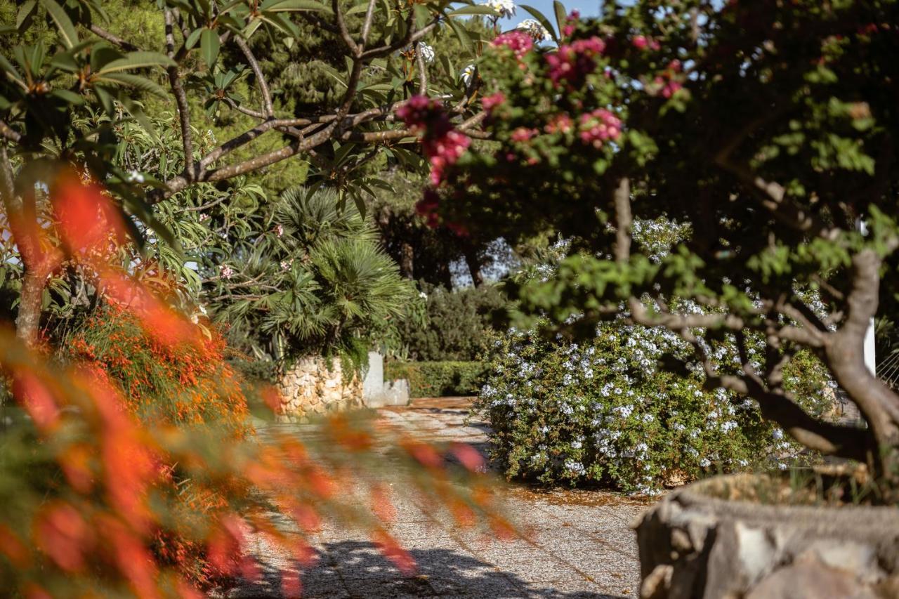 法维尼亚纳Giardino Dell'Impossibile Di Antonino Campo公寓 外观 照片